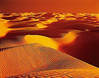 开发工作回到正轨 《黑森林迷踪》宣布年内开启抢先体验