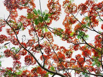 《微软飞行模拟》新补丁虽提升了性能 但也伴随着Bug